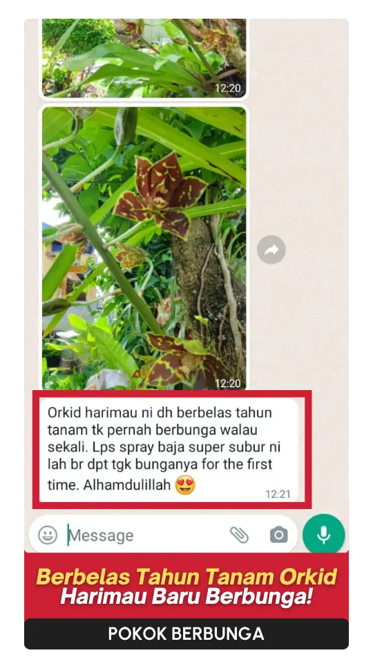 Testimoni-Bunga-3.webp